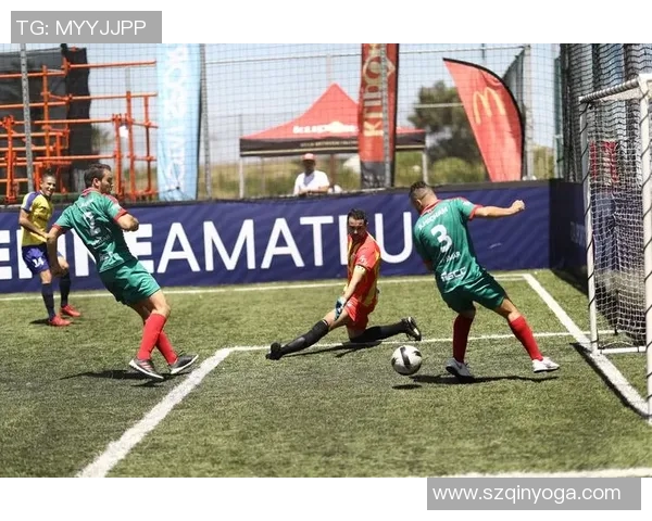 芬兰足球明星的崛起与成就揭秘，探索他们在国际舞台上的影响力与贡献