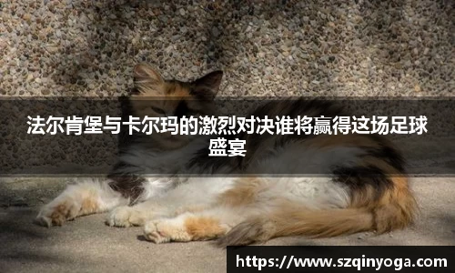 法尔肯堡与卡尔玛的激烈对决谁将赢得这场足球盛宴